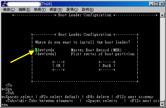 當然是安裝在 /dev/xvda 的 MBR 中！