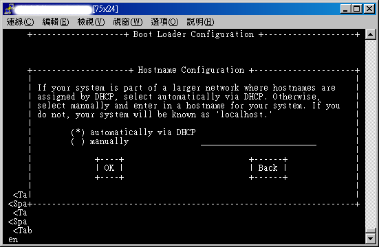 主機名稱也先不要設定，使用 DHCP 預設值